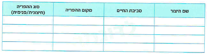 (בספר תמונה 1)